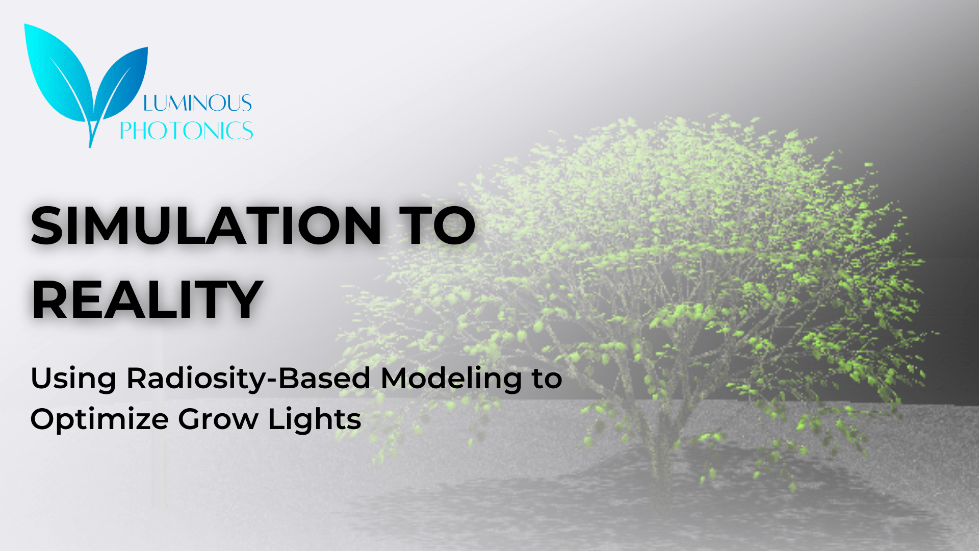 From Simulation to Reality: Using Radiosity-Based Modeling to Optimize Grow Lights